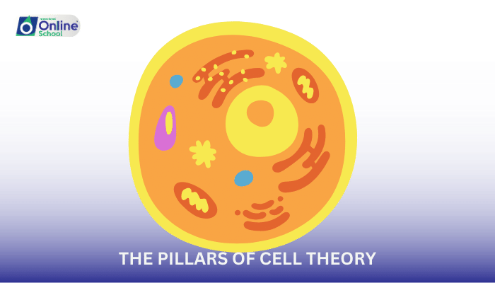 Lesson 03: The Pillars of Cell Theory: Contributions of Hooke, Brown, and Pasteur